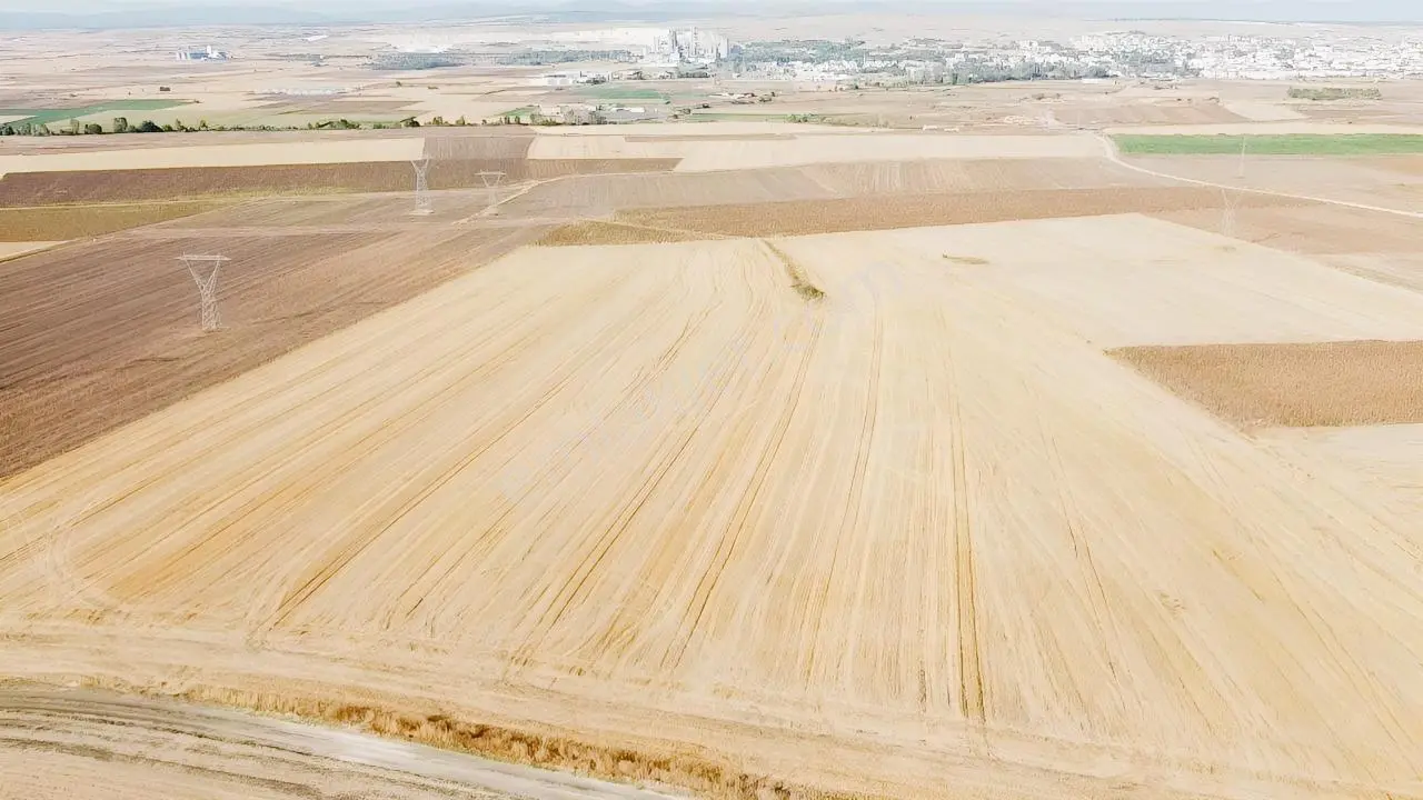 Kırklareli Pınarhisar Dere Köyünde 53 Dönüm Satılık Tarla — fotoğraf 3