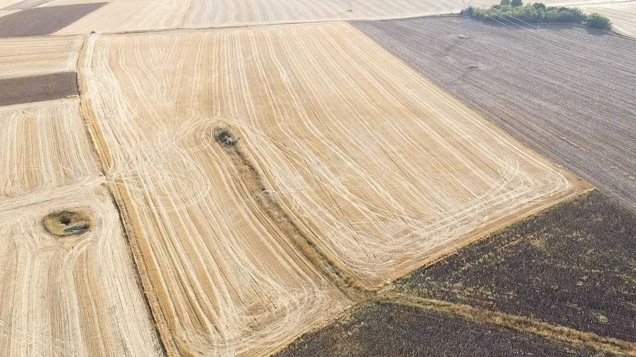 Kırklareli Pınarhisar Dere Köyünde 53 Dönüm Satılık Tarla — fotoğraf 5