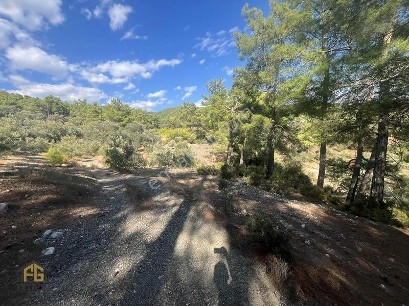 Acil Satılık! Fethiye Yakacık Mahallesi'Nde 909M2 Satılık Tarla