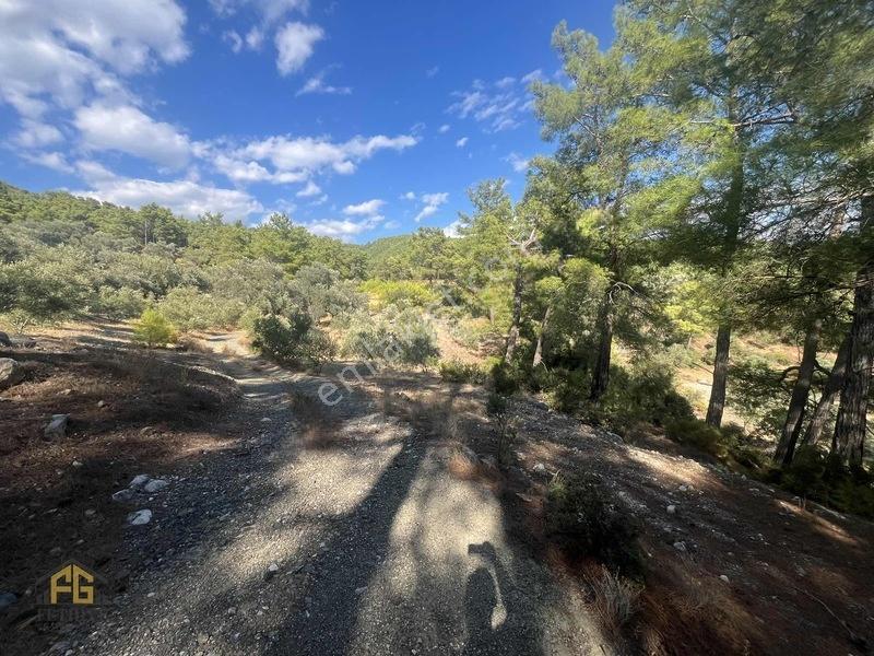 Acil Satılık! Fethiye Yakacık Mahallesi'nde 909m2 Satılık Tarla — fotoğraf 2