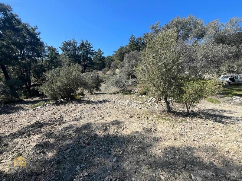Acil Satılık! Fethiye Yakacık Mahallesi'nde 909m2 Satılık Tarla — fotoğraf 4