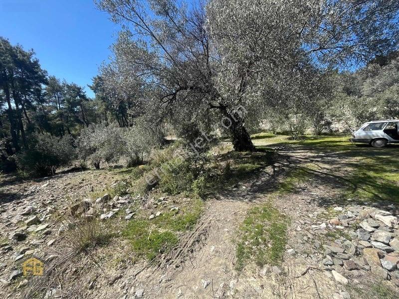 Acil Satılık! Fethiye Yakacık Mahallesi'nde 909m2 Satılık Tarla — fotoğraf 6