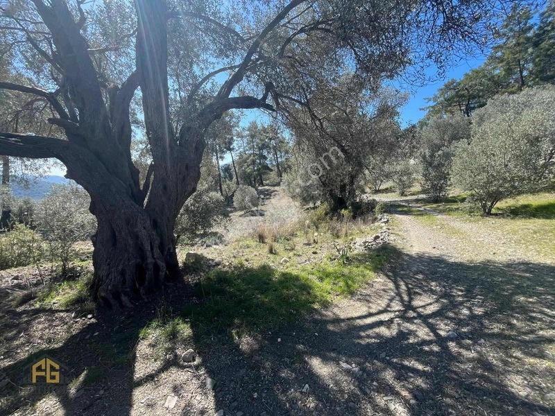 Acil Satılık! Fethiye Yakacık Mahallesi'nde 909m2 Satılık Tarla — fotoğraf 7