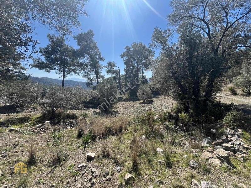 Acil Satılık! Fethiye Yakacık Mahallesi'nde 909m2 Satılık Tarla — fotoğraf 9
