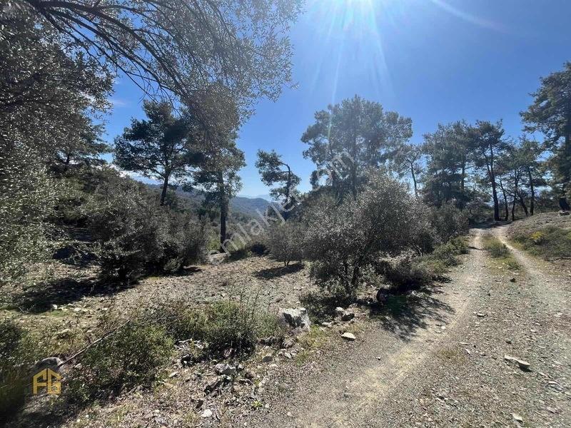 Acil Satılık! Fethiye Yakacık Mahallesi'nde 909m2 Satılık Tarla — fotoğraf 10