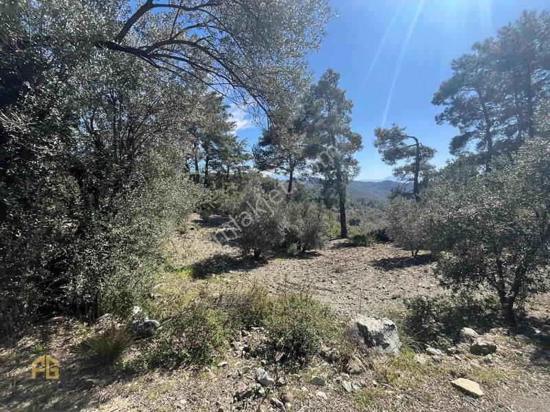 Acil Satılık! Fethiye Yakacık Mahallesi'nde 909m2 Satılık Tarla — fotoğraf 11