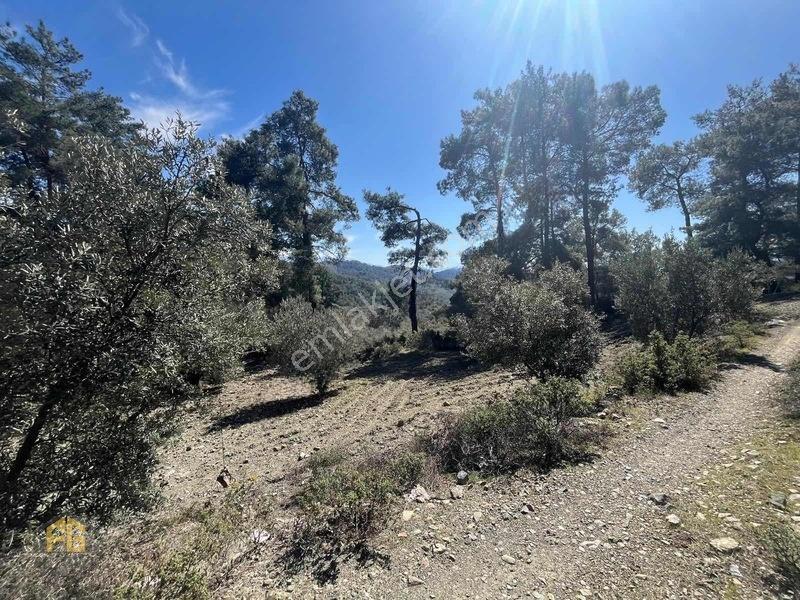Acil Satılık! Fethiye Yakacık Mahallesi'nde 909m2 Satılık Tarla — fotoğraf 12