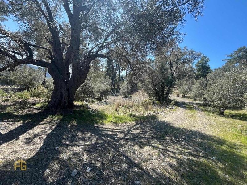 Acil Satılık! Fethiye Yakacık Mahallesi'nde 909m2 Satılık Tarla — fotoğraf 13