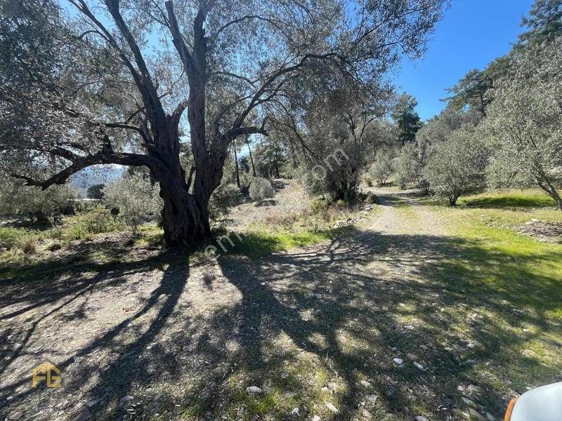 Acil Satılık! Fethiye Yakacık Mahallesi'nde 909m2 Satılık Tarla — fotoğraf 14