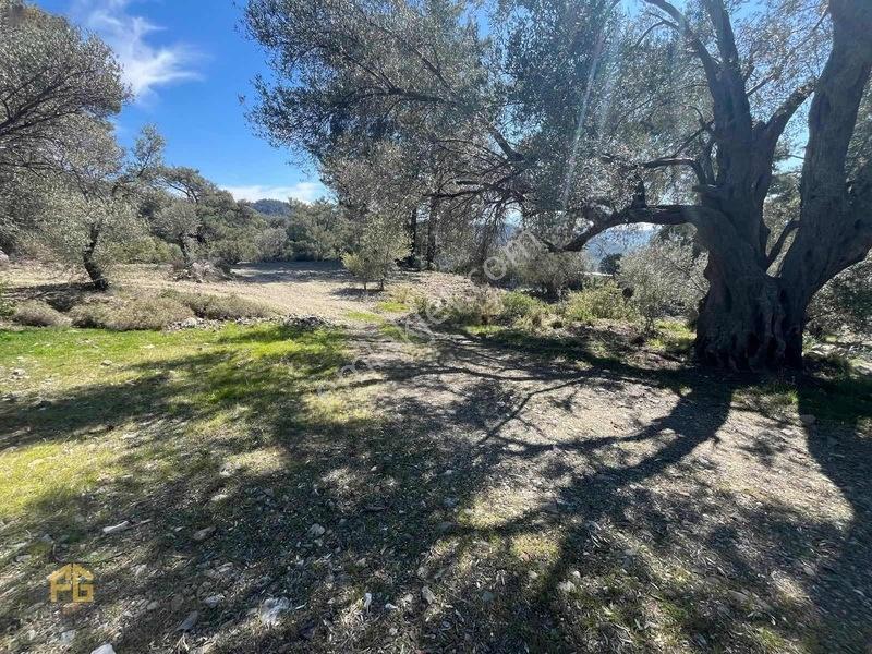 Acil Satılık! Fethiye Yakacık Mahallesi'nde 909m2 Satılık Tarla — fotoğraf 15