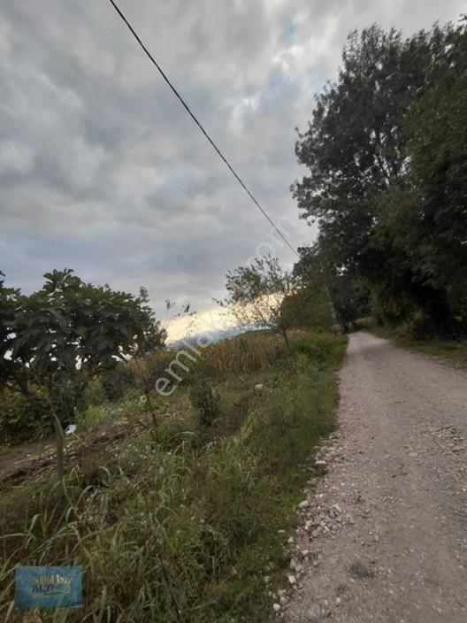 727 Mt2 Müstakil Tapulu Yol Su Elektrik Önünde — fotoğraf 3