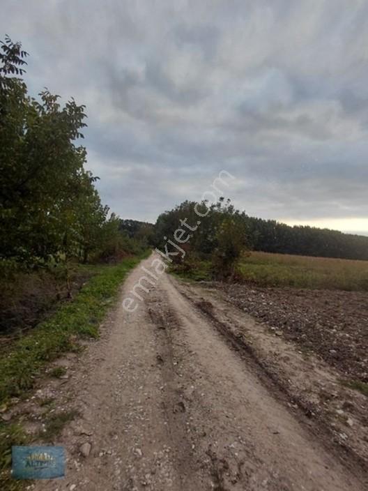 727 Mt2 Müstakil Tapulu Yol Su Elektrik Önünde — fotoğraf 4