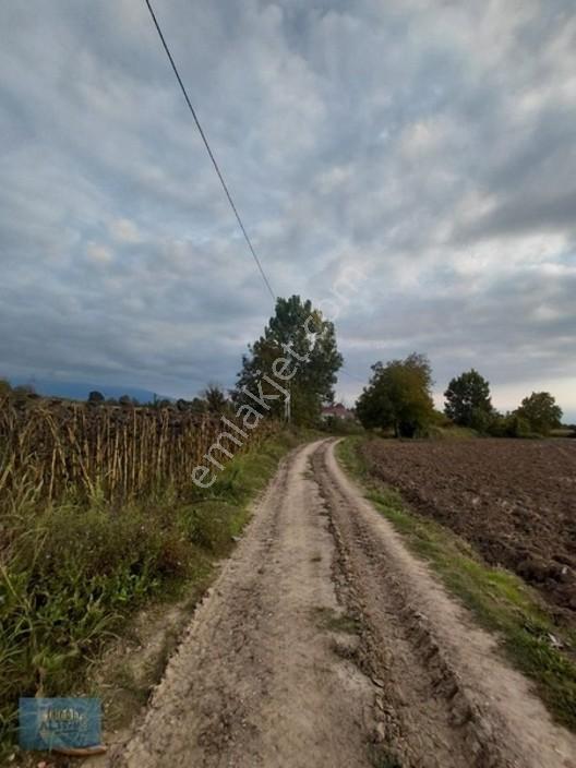727 Mt2 Müstakil Tapulu Yol Su Elektrik Önünde — fotoğraf 14