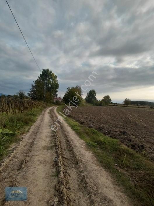 727 Mt2 Müstakil Tapulu Yol Su Elektrik Önünde — fotoğraf 15