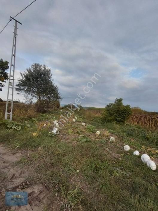 727 Mt2 Müstakil Tapulu Yol Su Elektrik Önünde — fotoğraf 16