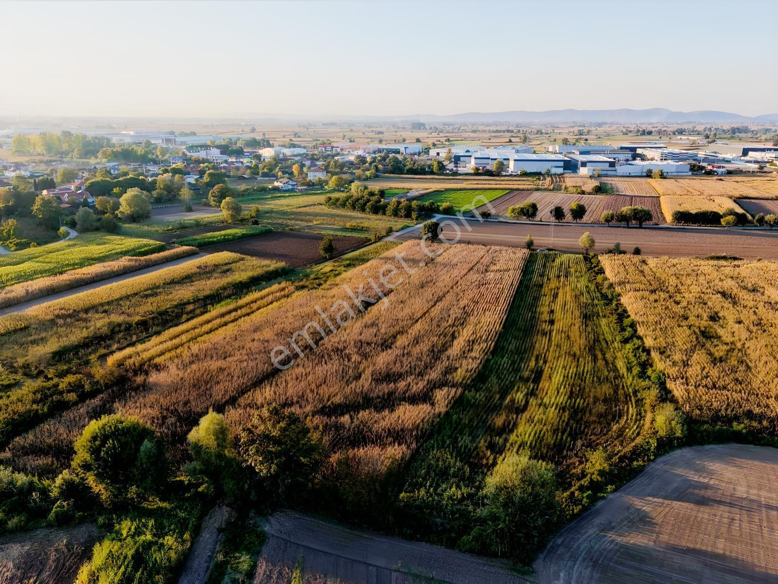 Erenler Nakışlar Mahallesinde 4.677 M² Konum Avantajlı Arazi — fotoğraf 7