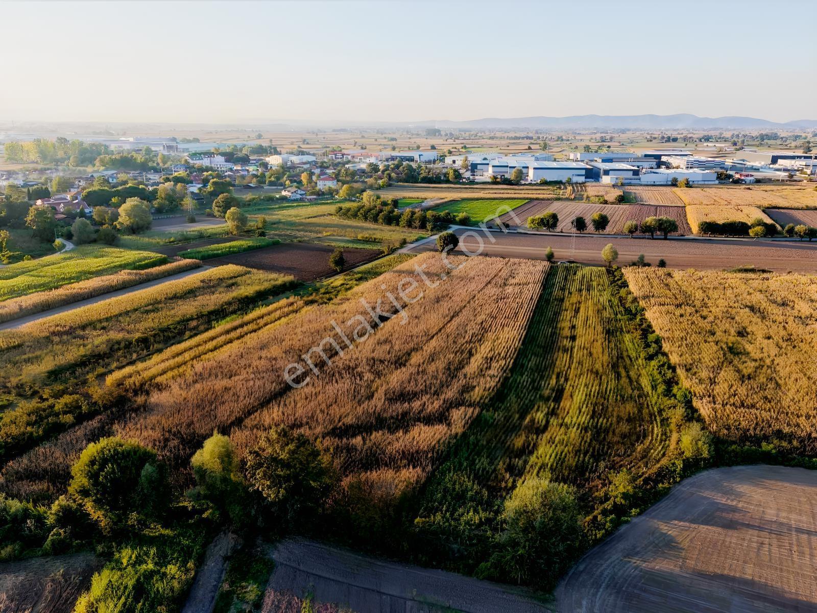 Erenler Nakışlar Mahallesinde 4.677 M² Konum Avantajlı Arazi — fotoğraf 8