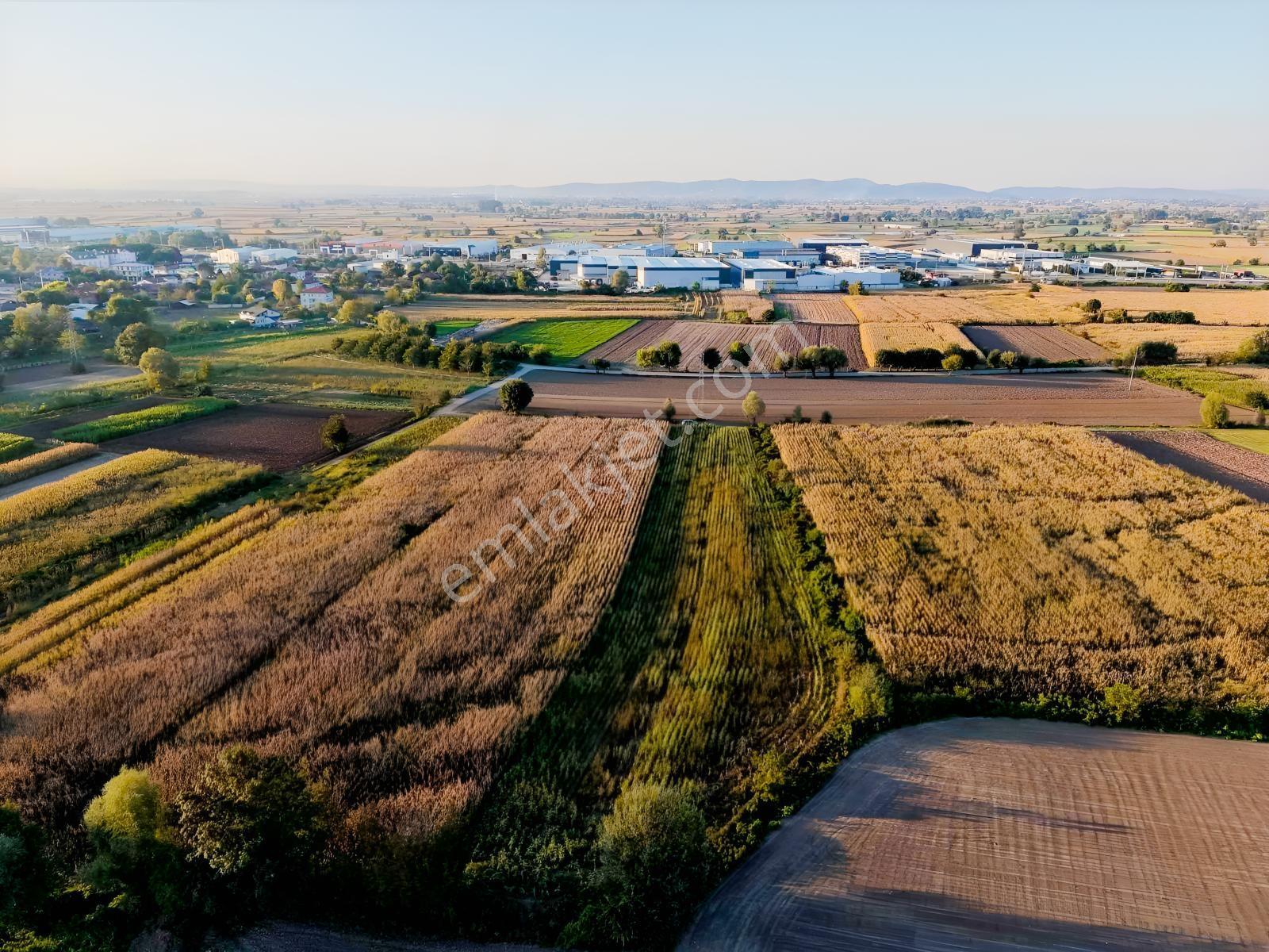 Erenler Nakışlar Mahallesinde 4.677 M² Konum Avantajlı Arazi — fotoğraf 9