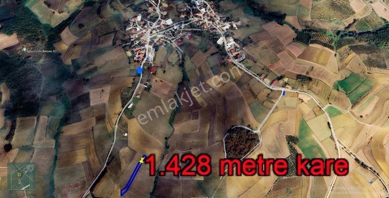 Şükran Gayrimenkul'Den Büyükhataplıda Yola Yakın Satılık Tarla