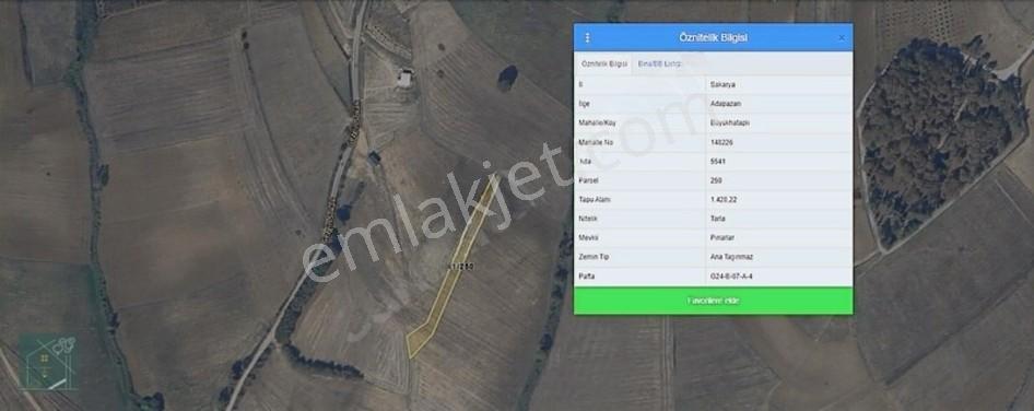 Şükran Gayrimenkul'den Büyükhataplıda Yola Yakın Satılık Tarla — fotoğraf 3
