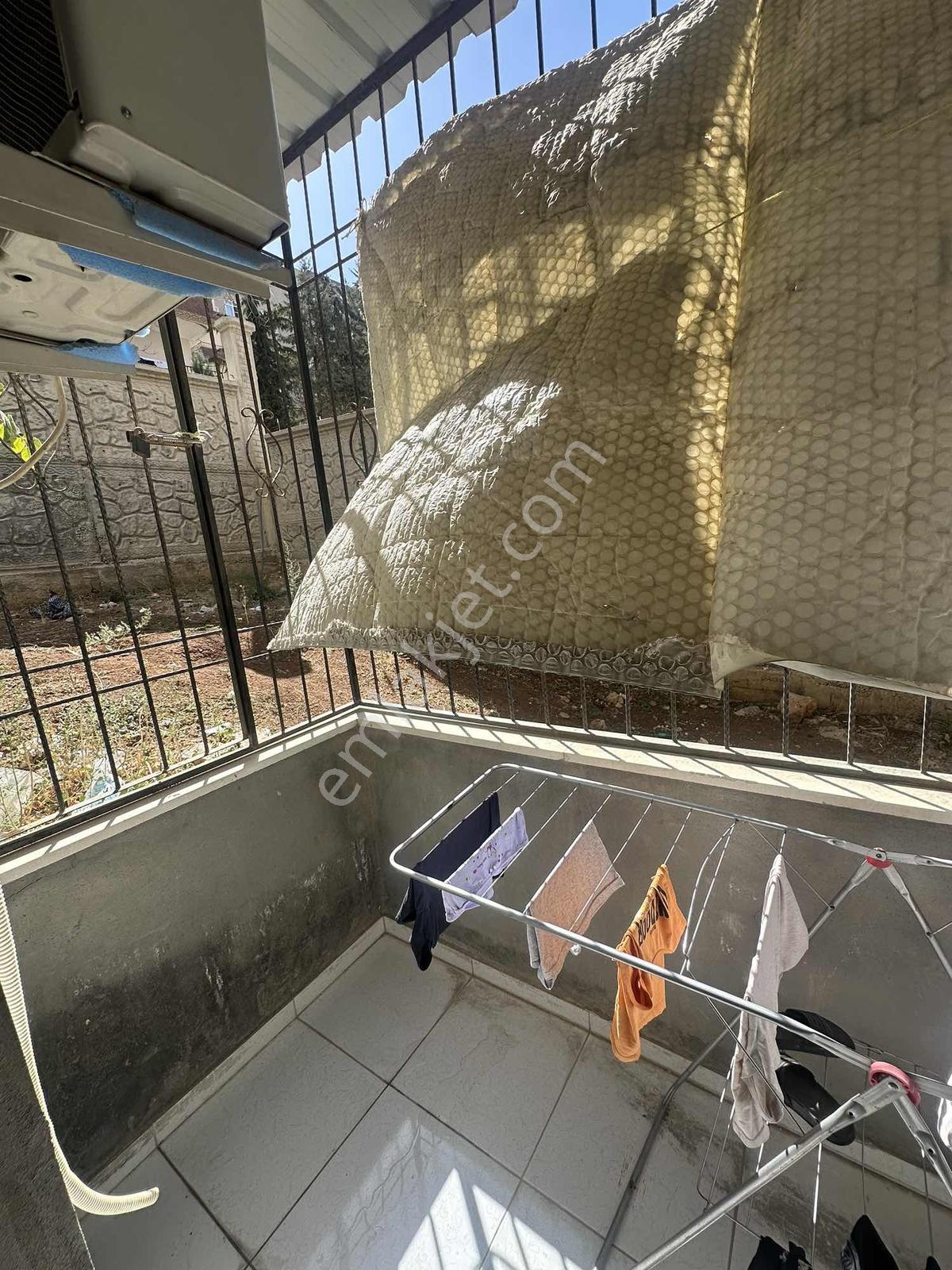 Sürer Emlak`tan Satılık 2+0 Daire`miz Kiracılı 75 Mt Kare Olmakt — fotoğraf 15