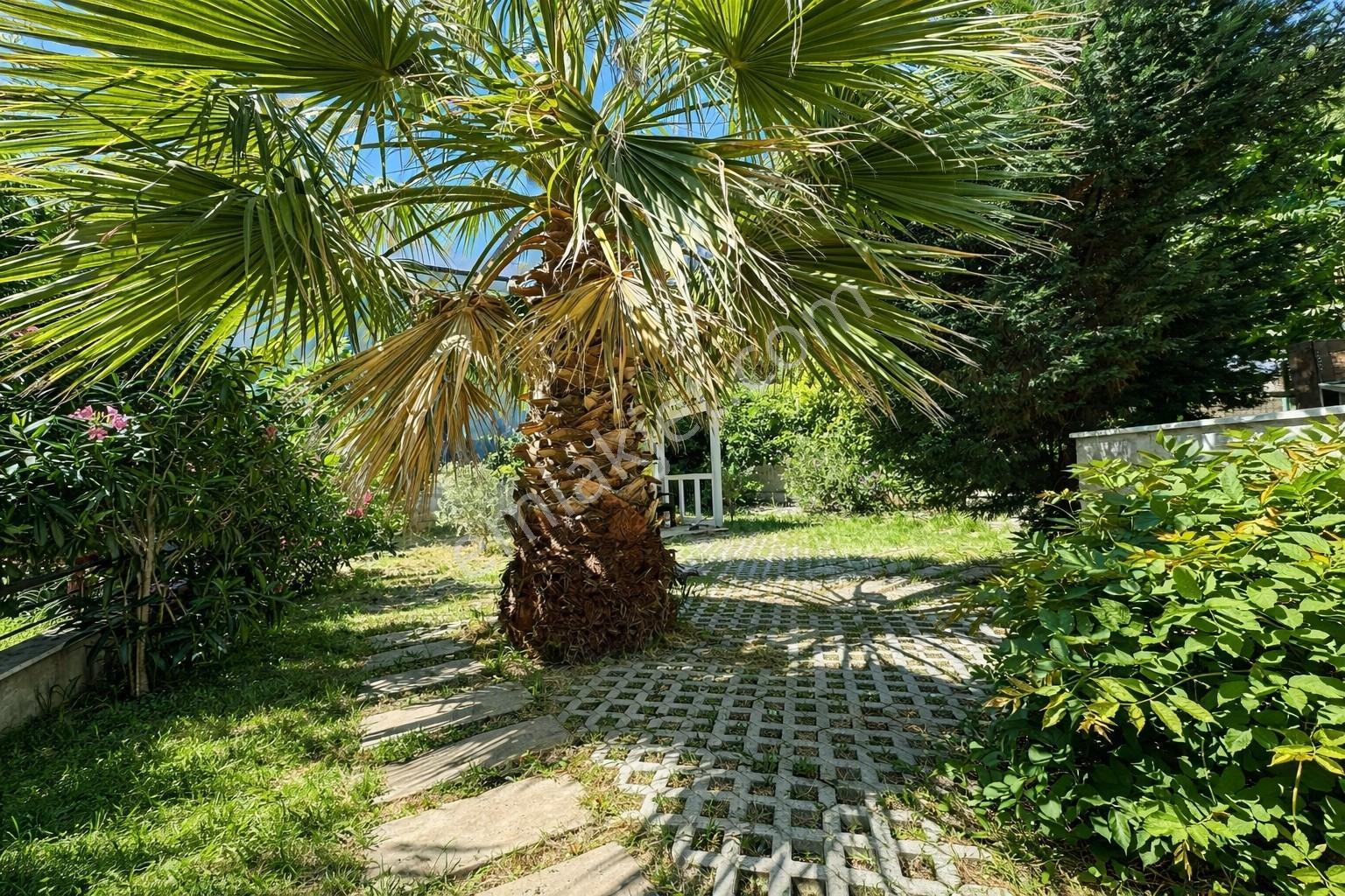 Umas Solutıon'dan | Denize 150m | 3+1 Dubleks Villa — fotoğraf 5