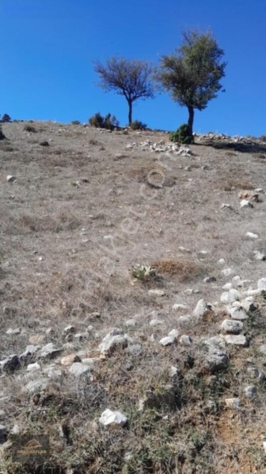 Seydikemer Yayla Ceylan'da 1550 M2 Tarla Açıklamayı Okuyun — fotoğraf 2