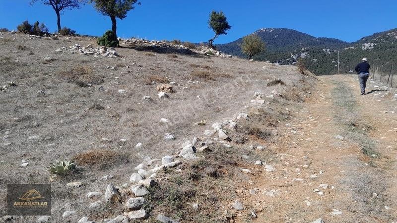 Seydikemer Yayla Ceylan'da 1550 M2 Tarla Açıklamayı Okuyun — fotoğraf 3