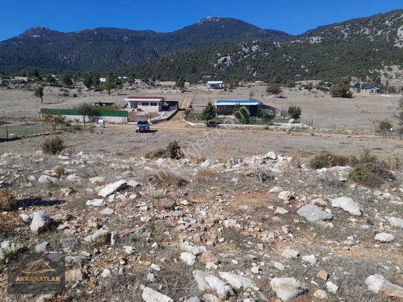 Seydikemer Yayla Ceylan'da 1550 M2 Tarla Açıklamayı Okuyun — fotoğraf 7