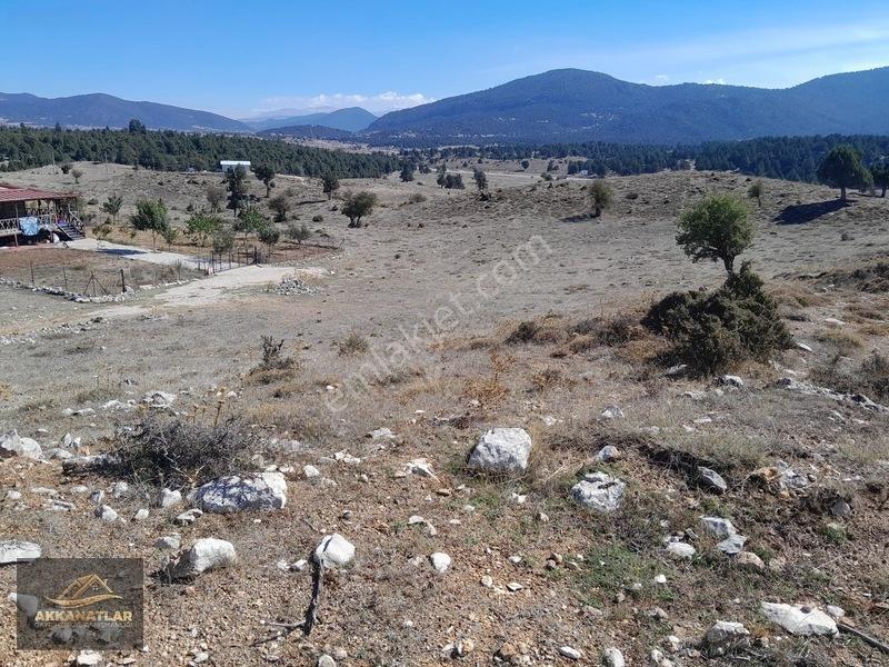 Seydikemer Yayla Ceylan'da 1550 M2 Tarla Açıklamayı Okuyun — fotoğraf 8