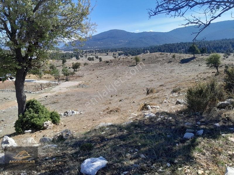 Seydikemer Yayla Ceylan'da 1550 M2 Tarla Açıklamayı Okuyun — fotoğraf 10