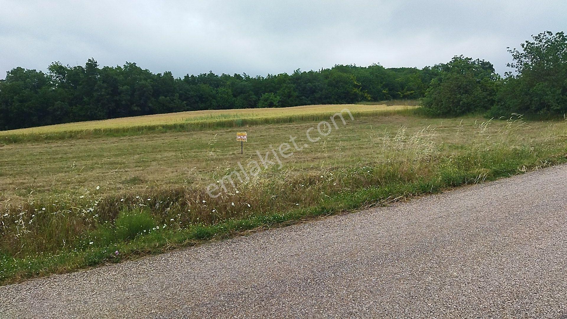 İnegöl Dömez'de Yol Cepheli 3493 M² Satılık Tarla — fotoğraf 2