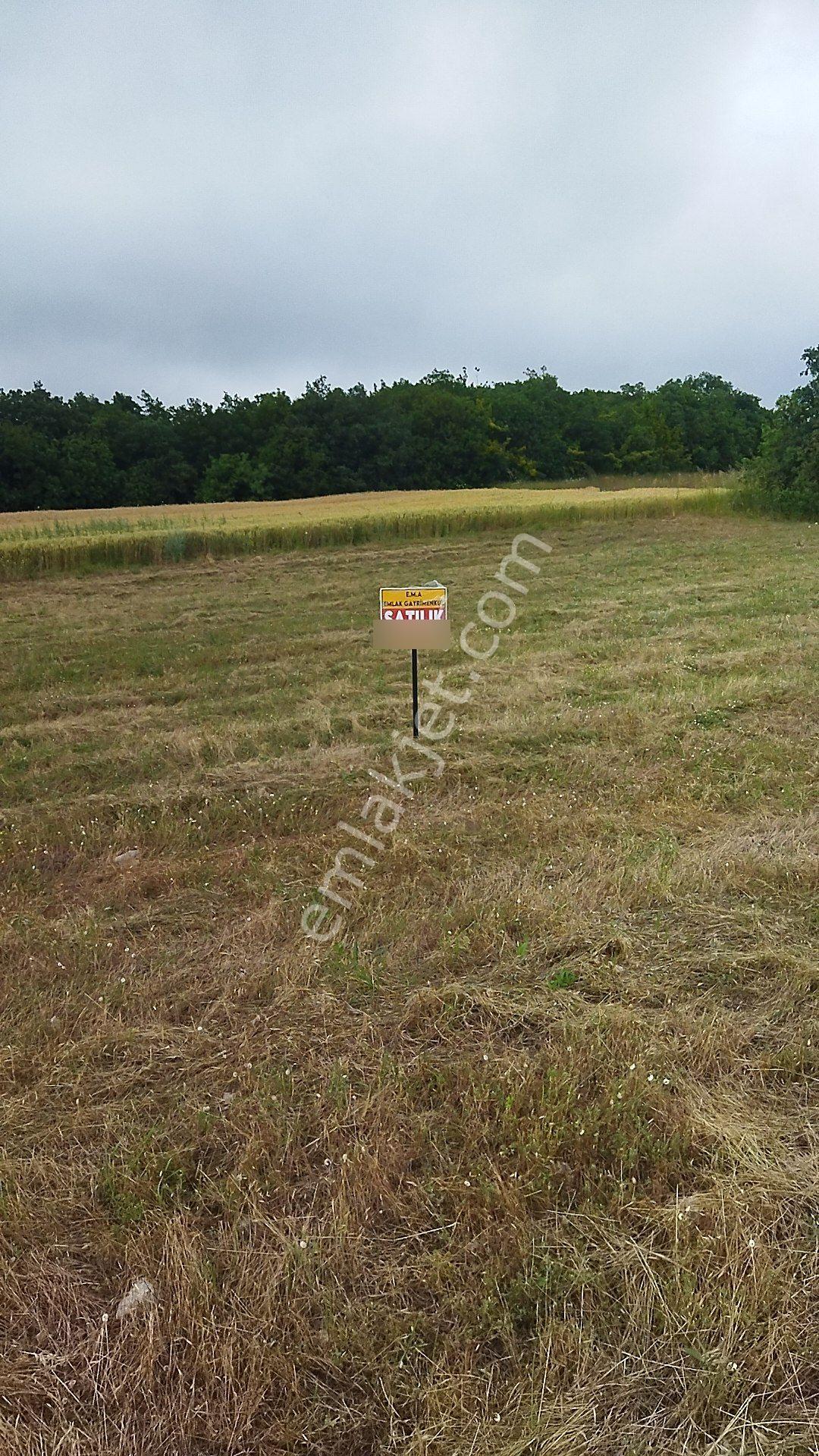 İnegöl Dömez'de Yol Cepheli 3493 M² Satılık Tarla — fotoğraf 3