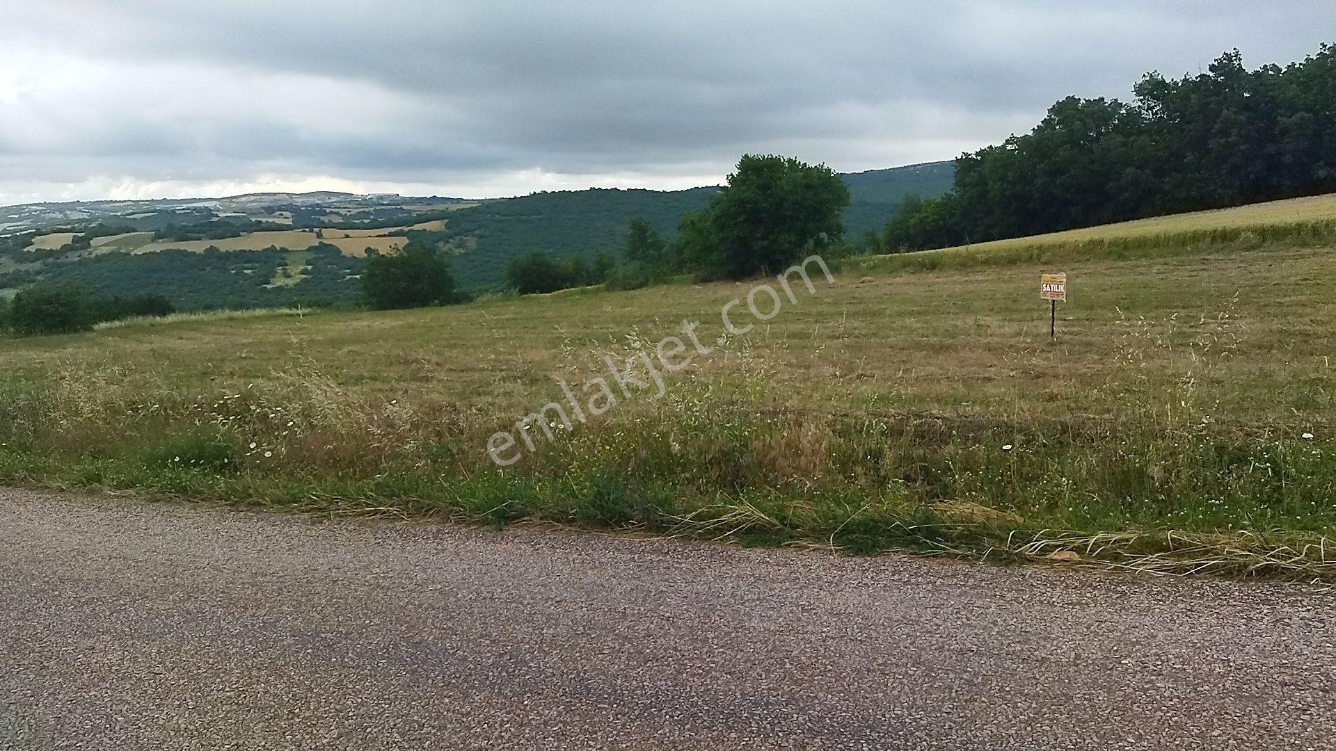 İnegöl Dömez'de Yol Cepheli 3493 M² Satılık Tarla — fotoğraf 4