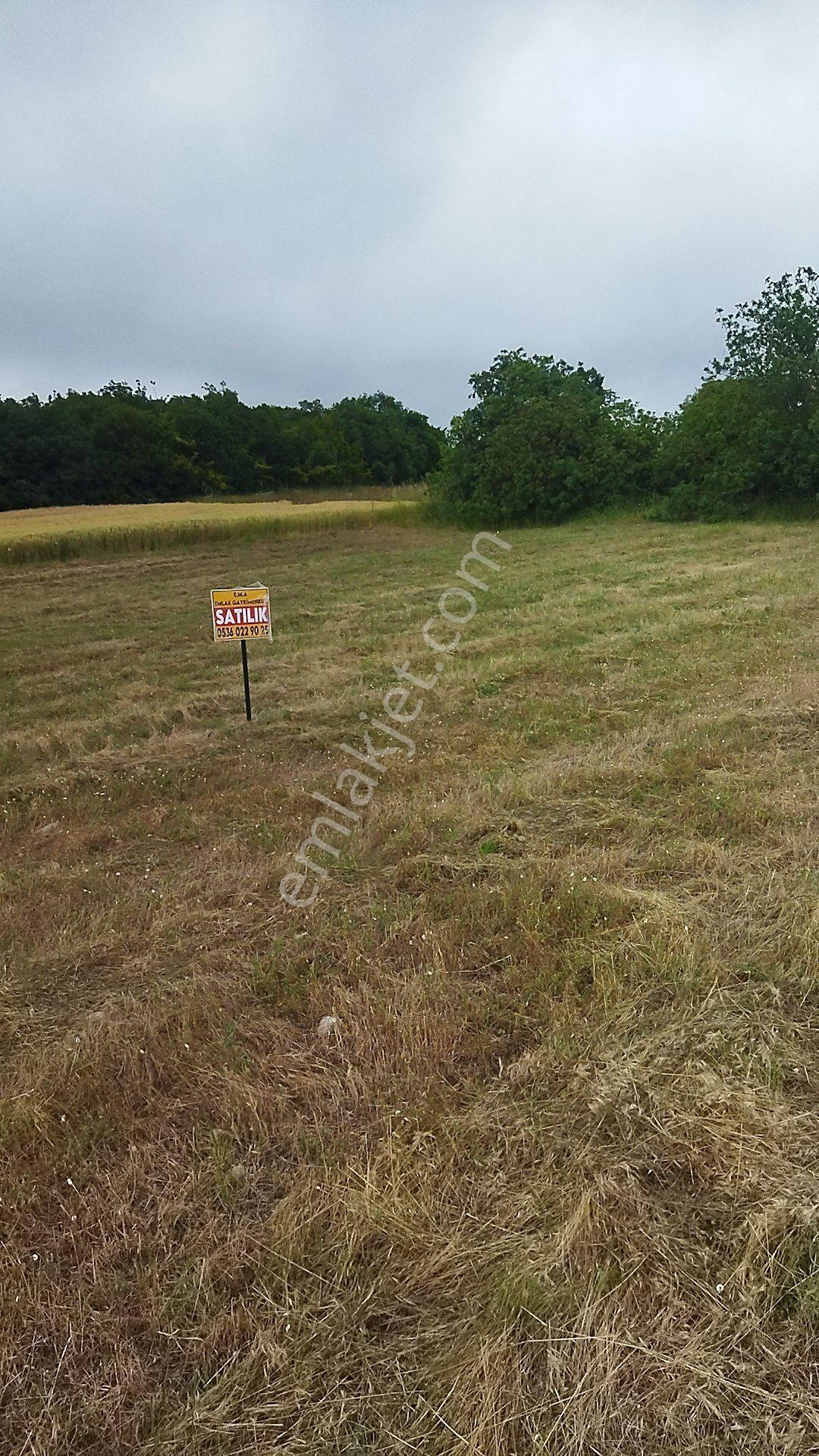 İnegöl Dömez'de Yol Cepheli 3493 M² Satılık Tarla — fotoğraf 5
