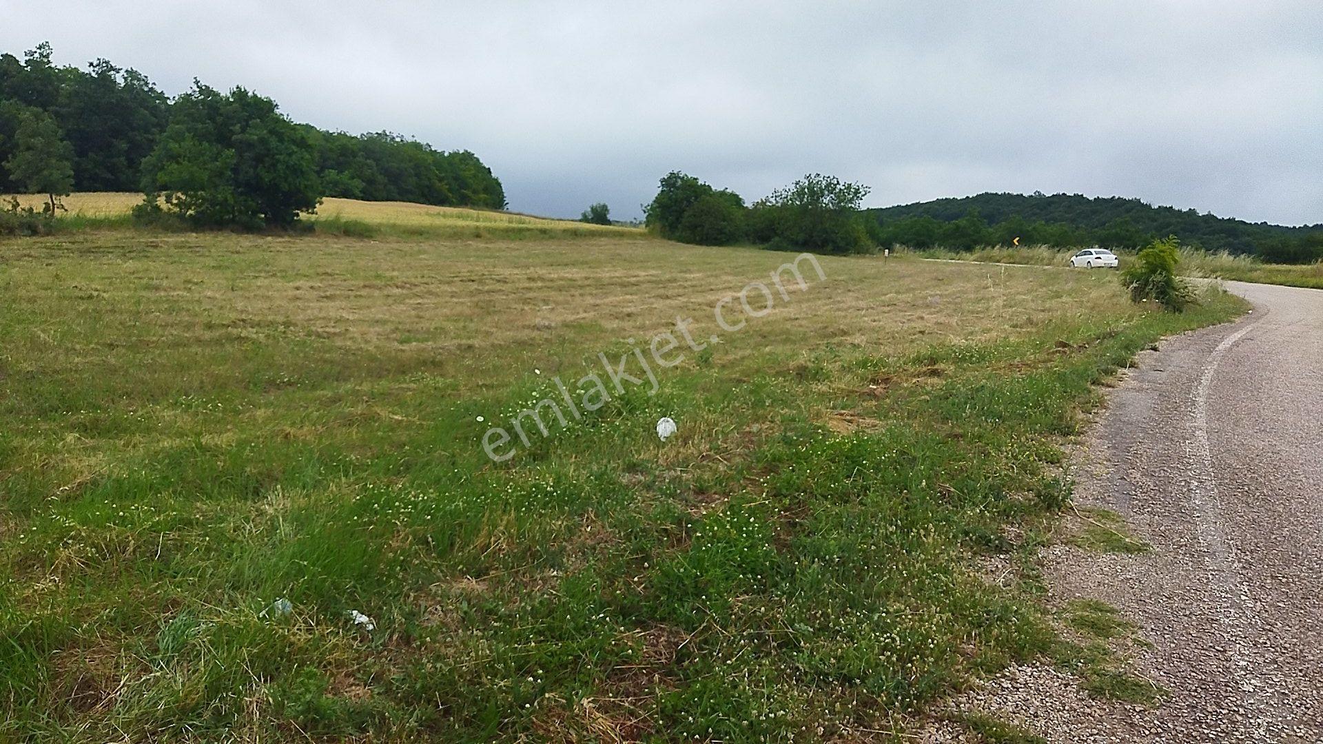 İnegöl Dömez'de Yol Cepheli 3493 M² Satılık Tarla — fotoğraf 6