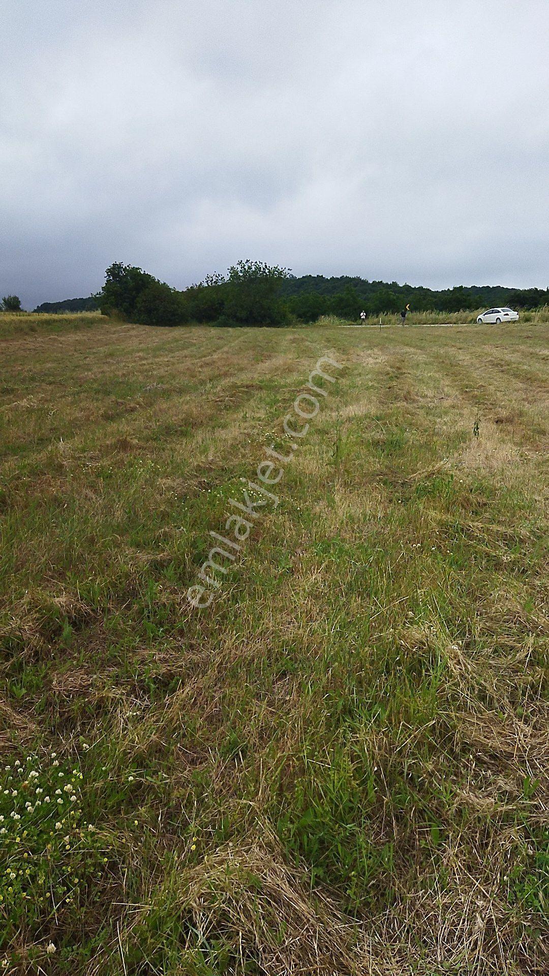 İnegöl Dömez'de Yol Cepheli 3493 M² Satılık Tarla — fotoğraf 7