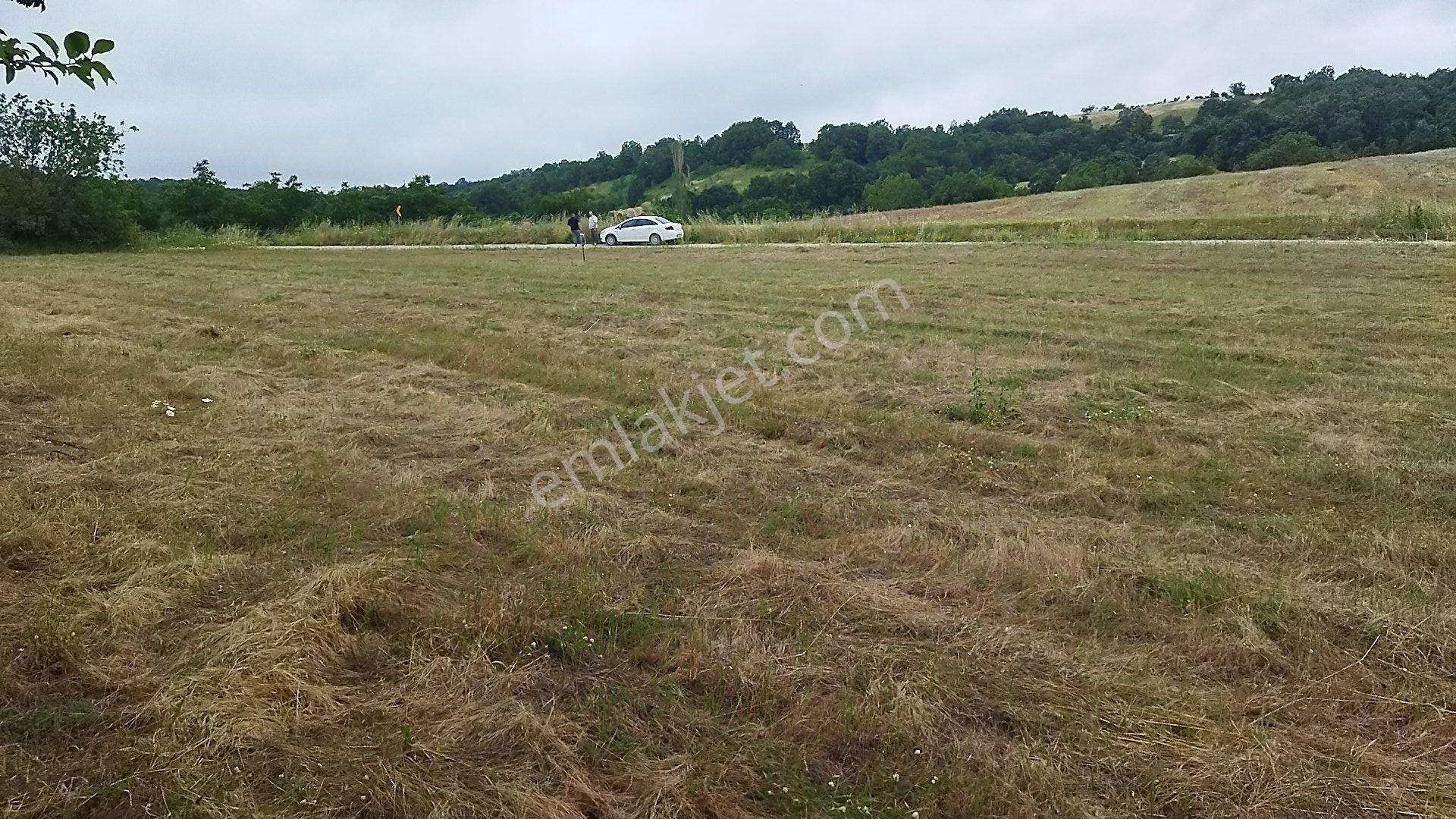 İnegöl Dömez'de Yol Cepheli 3493 M² Satılık Tarla — fotoğraf 8