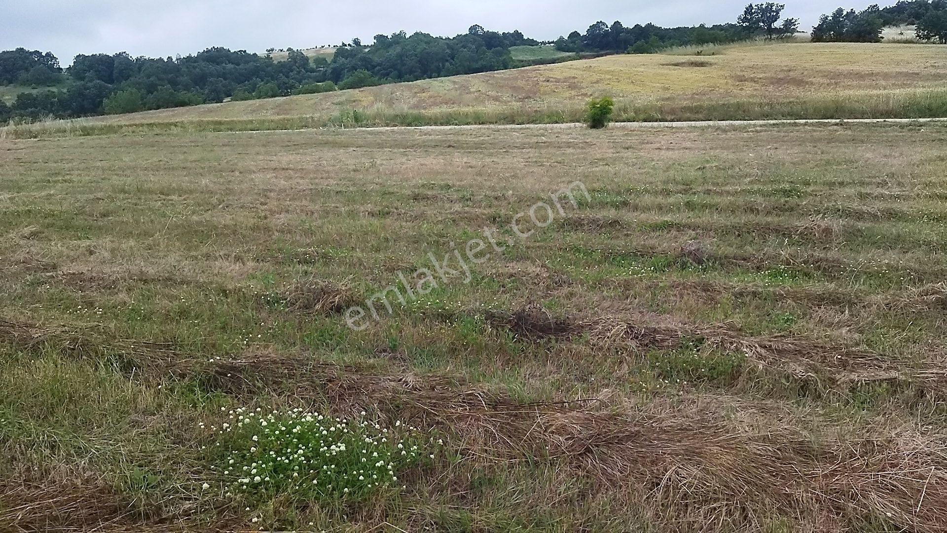 İnegöl Dömez'de Yol Cepheli 3493 M² Satılık Tarla — fotoğraf 9