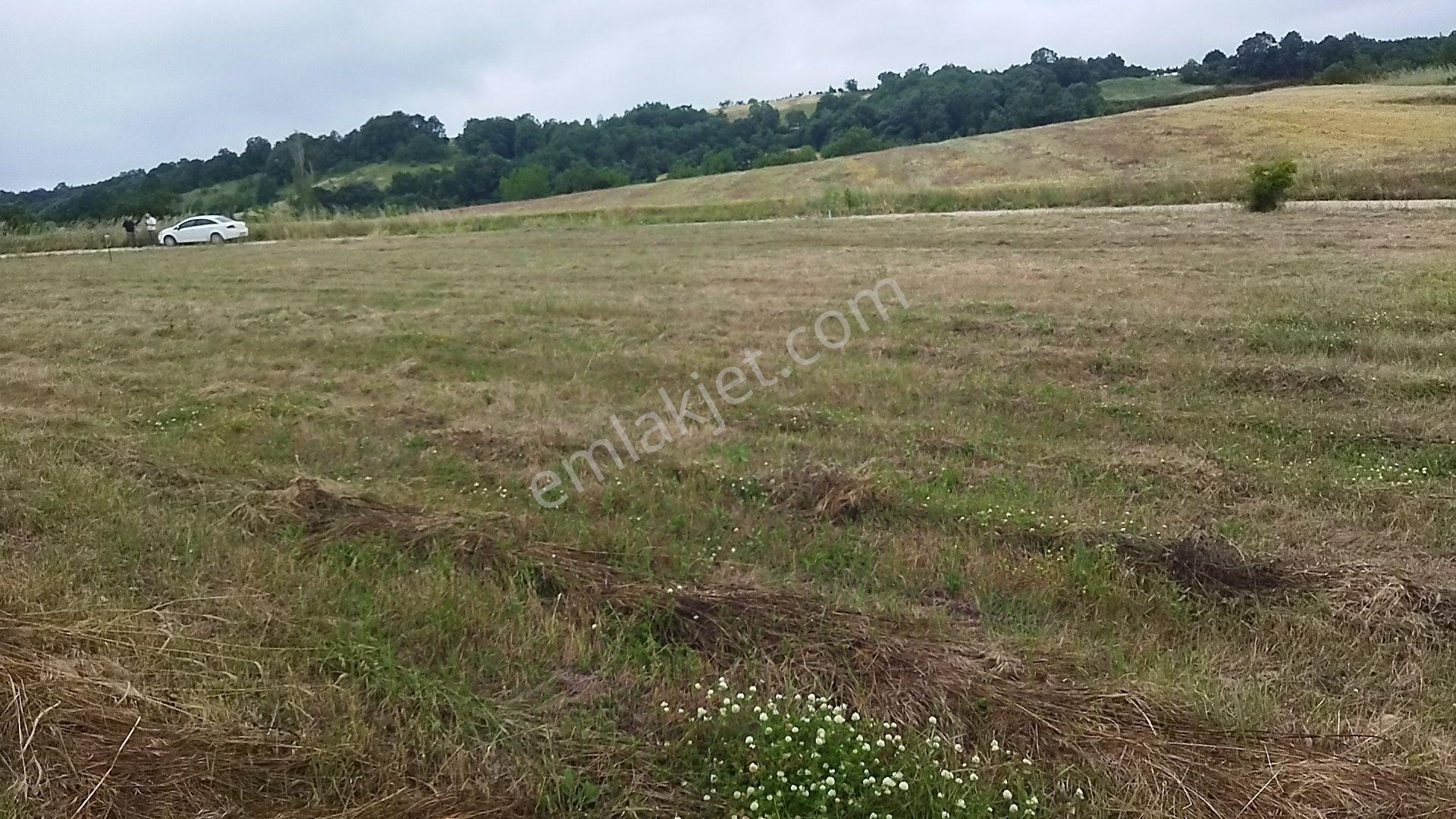 İnegöl Dömez'de Yol Cepheli 3493 M² Satılık Tarla — fotoğraf 10