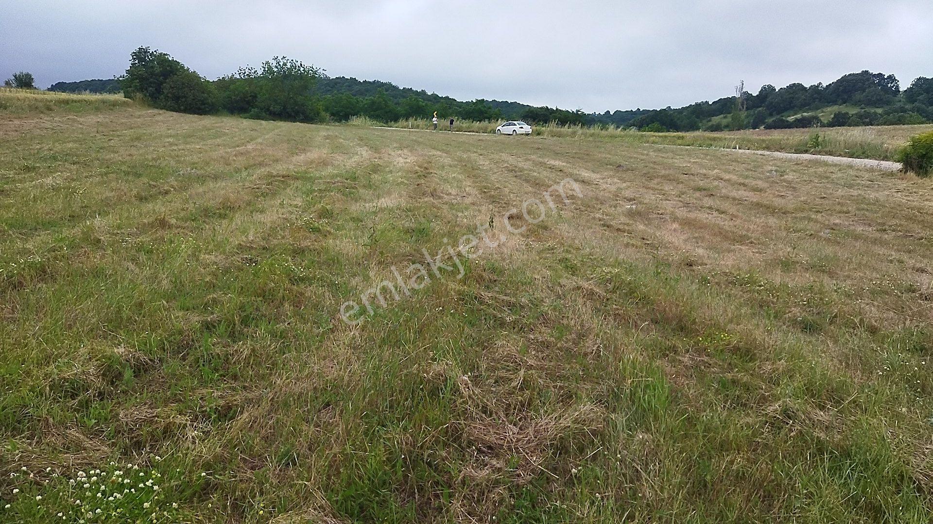 İnegöl Dömez'de Yol Cepheli 3493 M² Satılık Tarla — fotoğraf 11