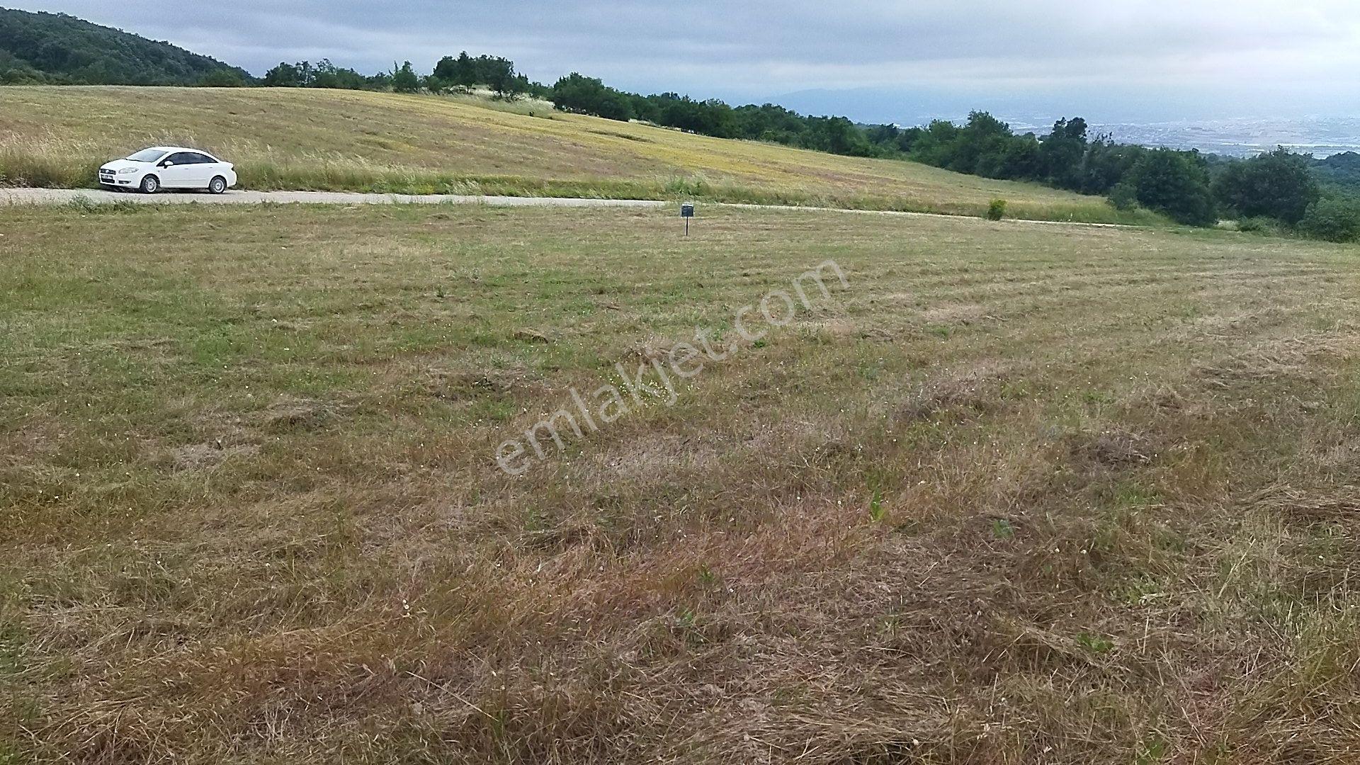 İnegöl Dömez'de Yol Cepheli 3493 M² Satılık Tarla — fotoğraf 12