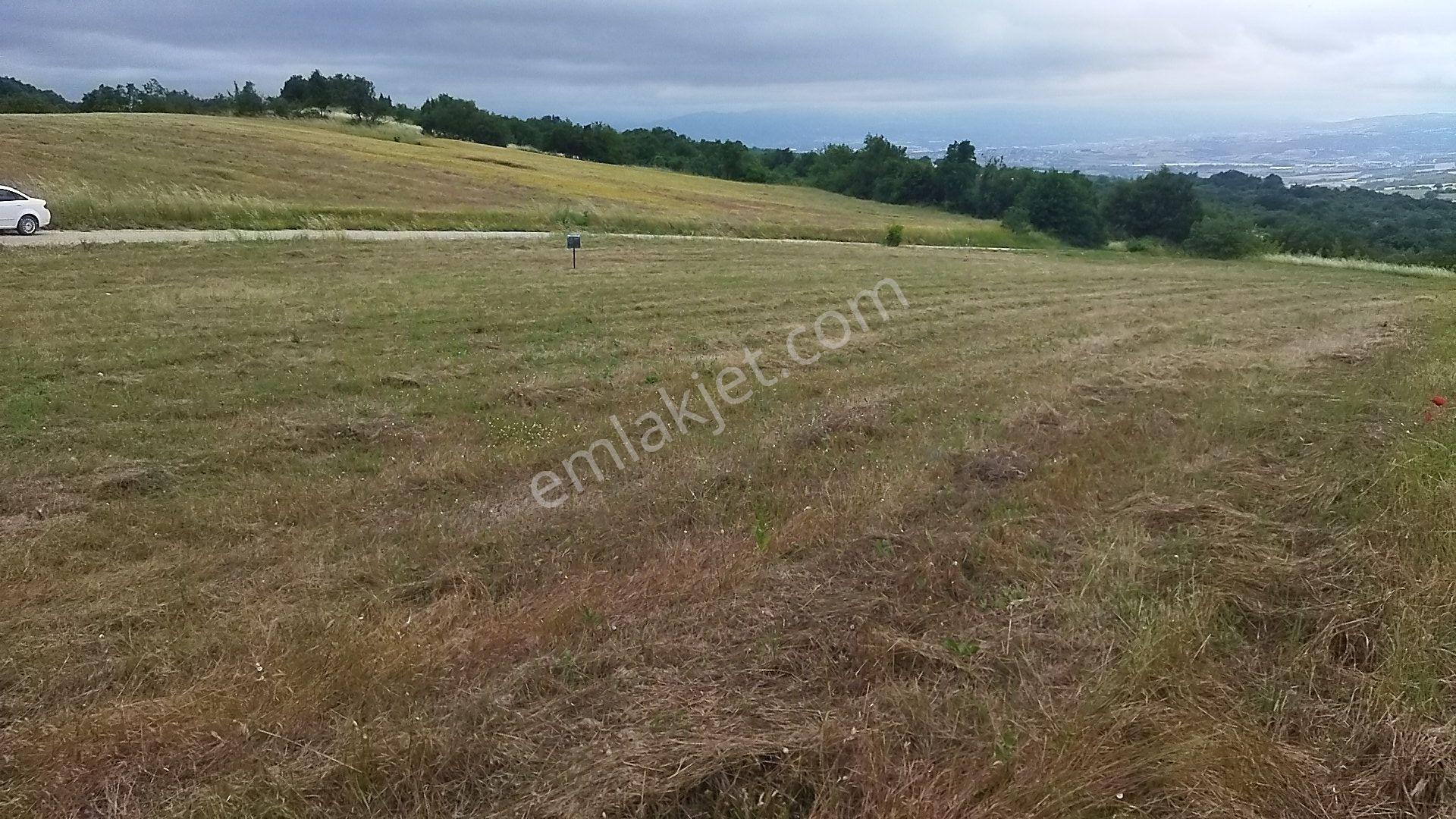 İnegöl Dömez'de Yol Cepheli 3493 M² Satılık Tarla — fotoğraf 13