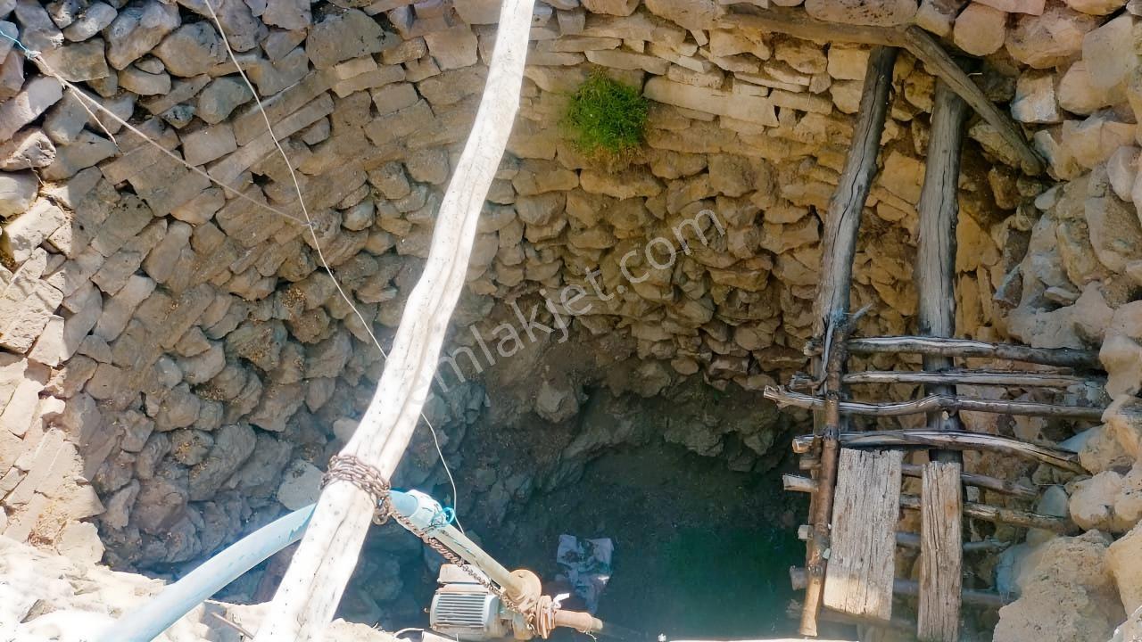 Karadiğinde Elektiriği Olan Bahçe İki Son İki Adet — fotoğraf 4