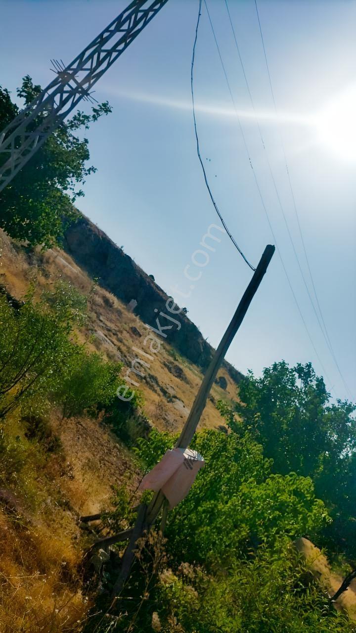 Karadiğinde Elektiriği Olan Bahçe İki Son İki Adet — fotoğraf 5
