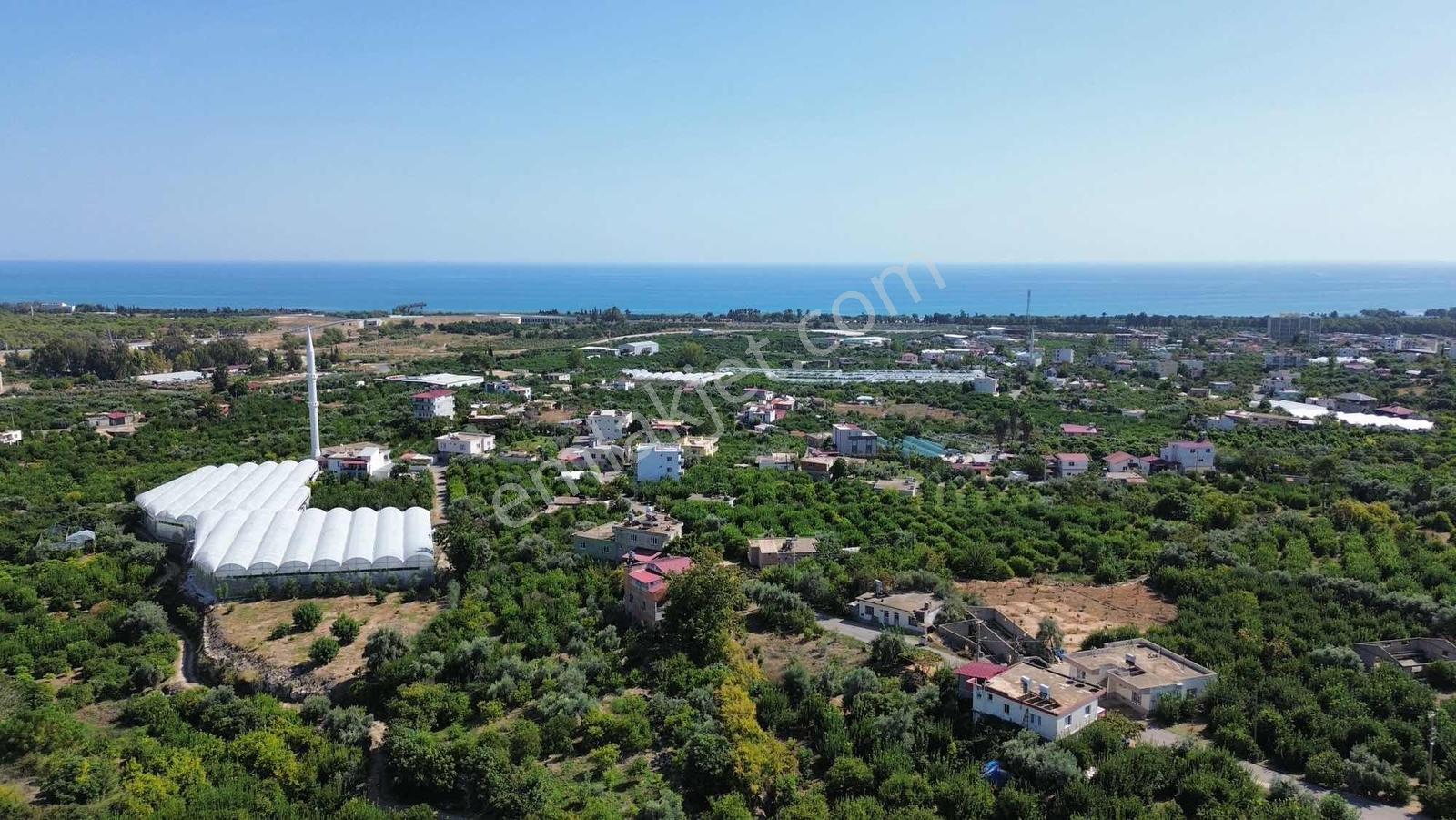 Kargıcak'ta Satılık 2.000m2 Limon Bahçesi !! — fotoğraf 3