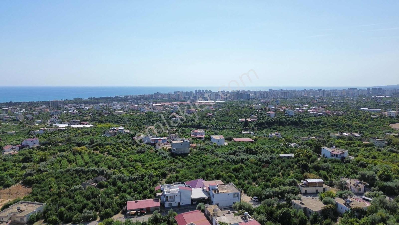 Kargıcak'ta Satılık 2.000m2 Limon Bahçesi !! — fotoğraf 7