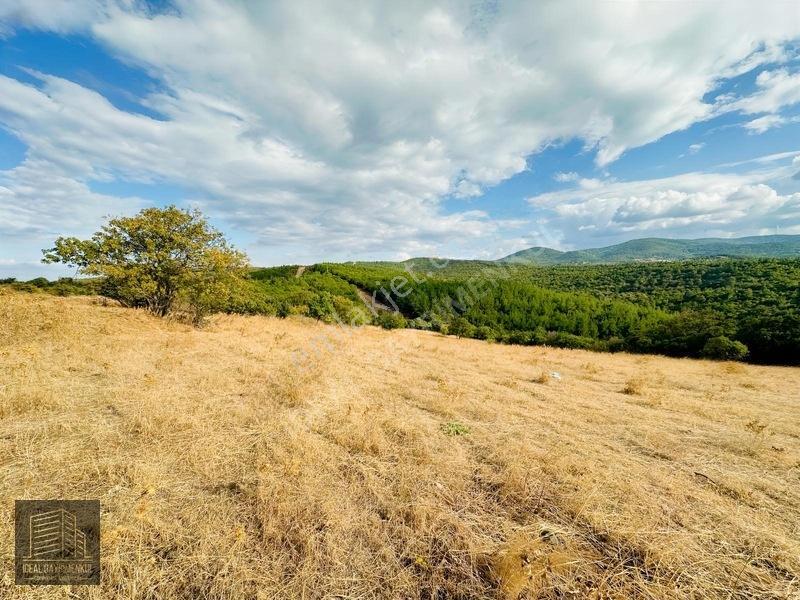 Lapsekide Geleceğe Yatırım: 7.131 M² Müstakil Tapulu Tarla