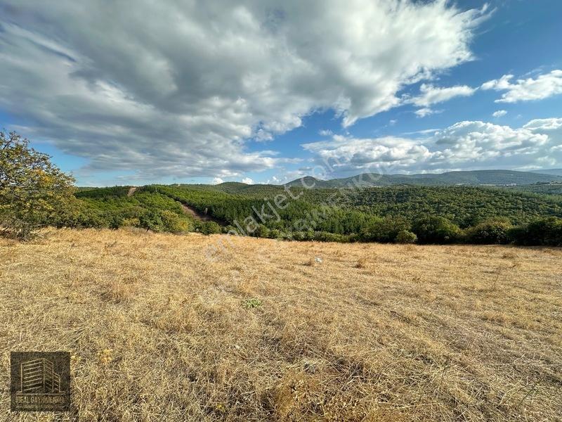 Lapsekide Geleceğe Yatırım: 7.131 M² Müstakil Tapulu Tarla — fotoğraf 2