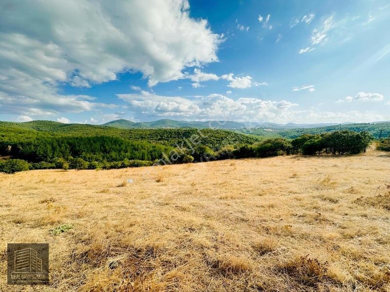 Lapsekide Geleceğe Yatırım: 7.131 M² Müstakil Tapulu Tarla — fotoğraf 3